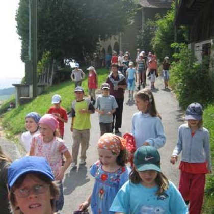 auf dem Weg in den Wald